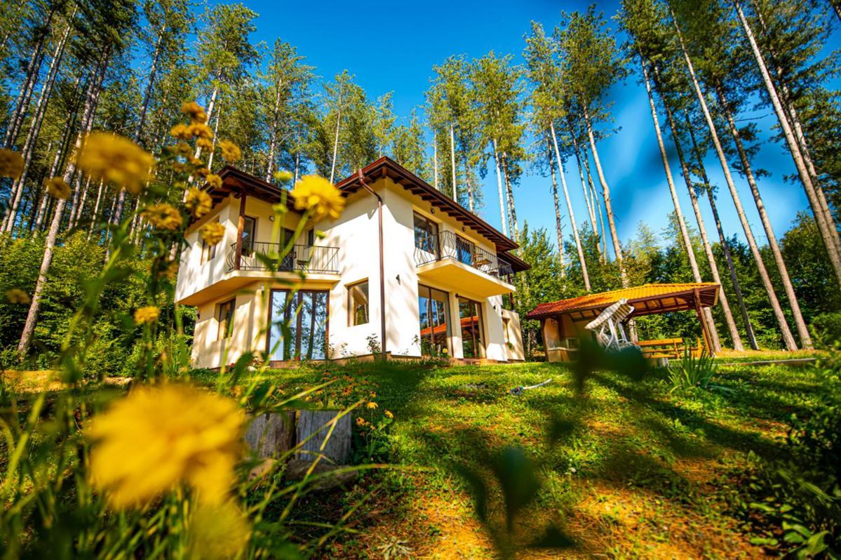 Villa хепи *